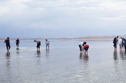 مواقع اليونسكو و بحيرة الملح في جولة سياحية