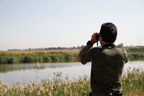 Bojaq National Park Birdwatching